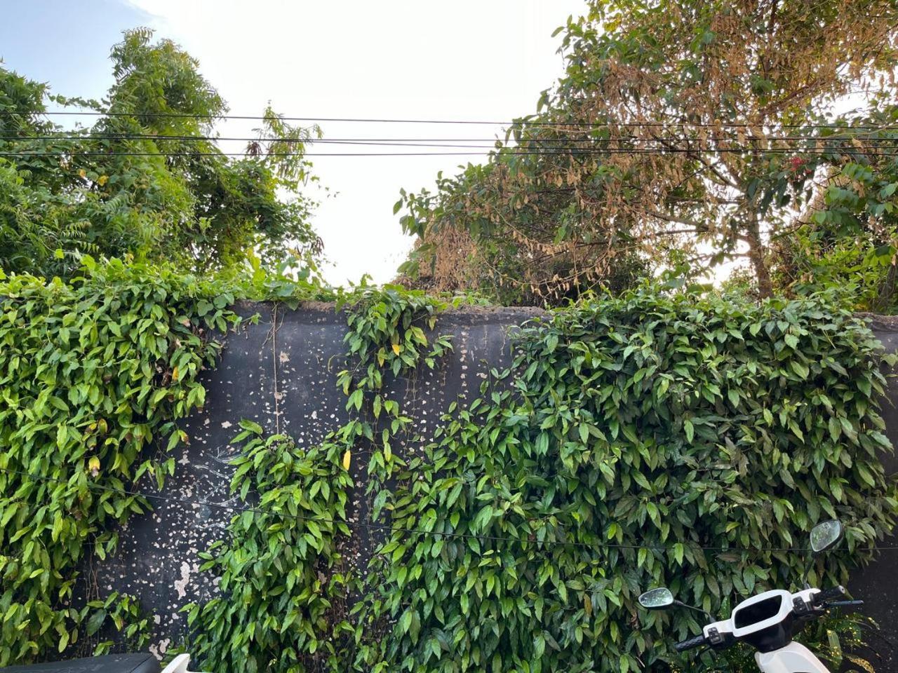Nirman Homestay 5 Minutes Walk To Beach Puri Kültér fotó