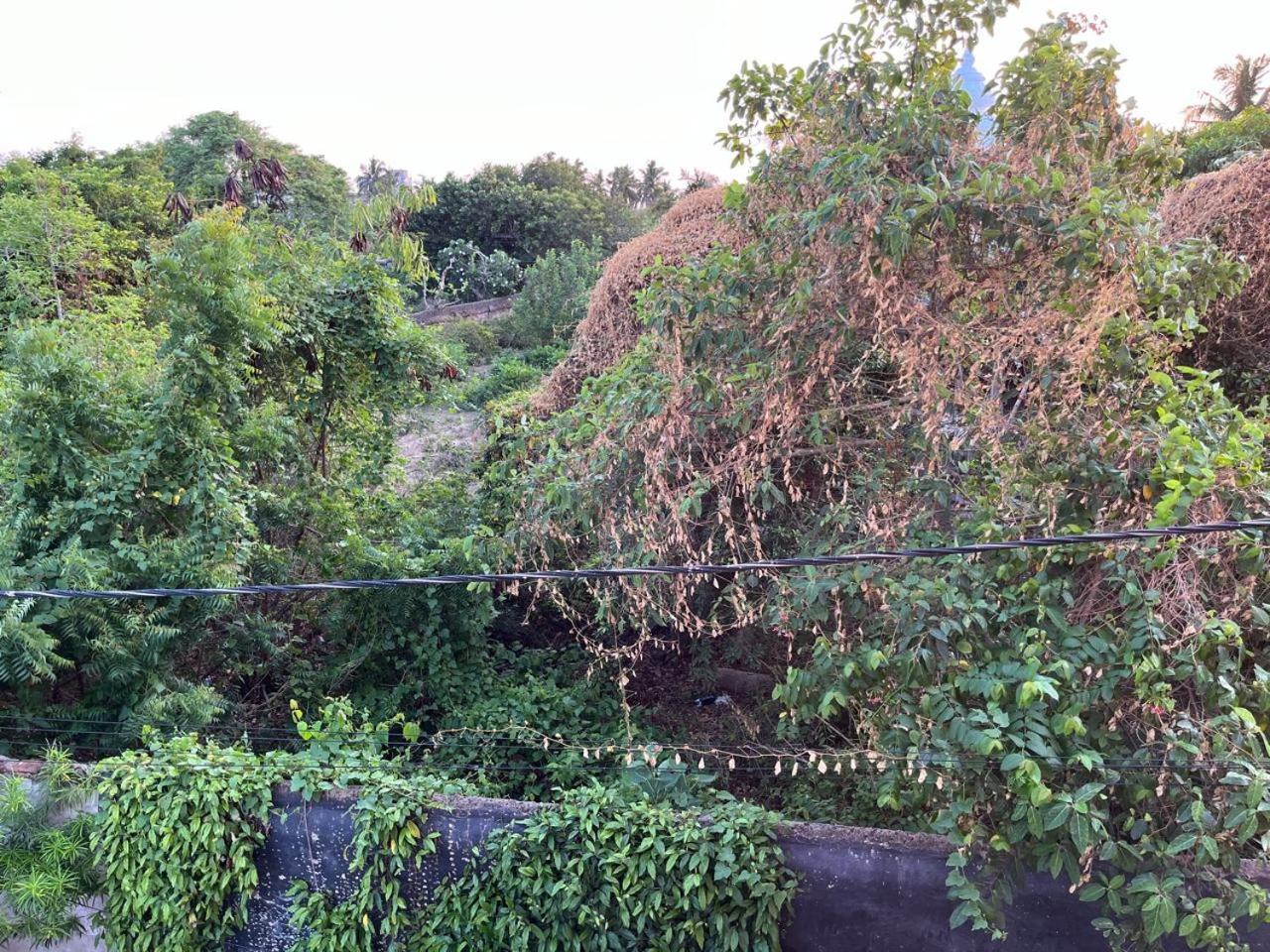 Nirman Homestay 5 Minutes Walk To Beach Puri Kültér fotó